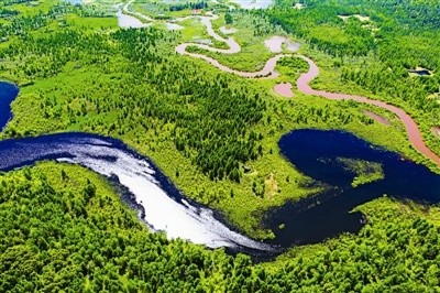 黑龙江省具有生物多样性保护功能的生态功能区有29个，分别分布在大、小兴安岭、张广才岭地区，三江平原及松嫩平原的部分地区也有分布，面积共约29.83万平方公里。