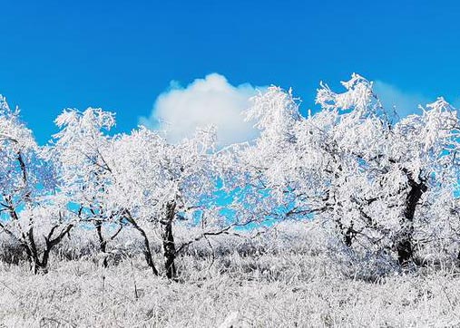 五花山披银装 黑龙江凤凰山迎初雪