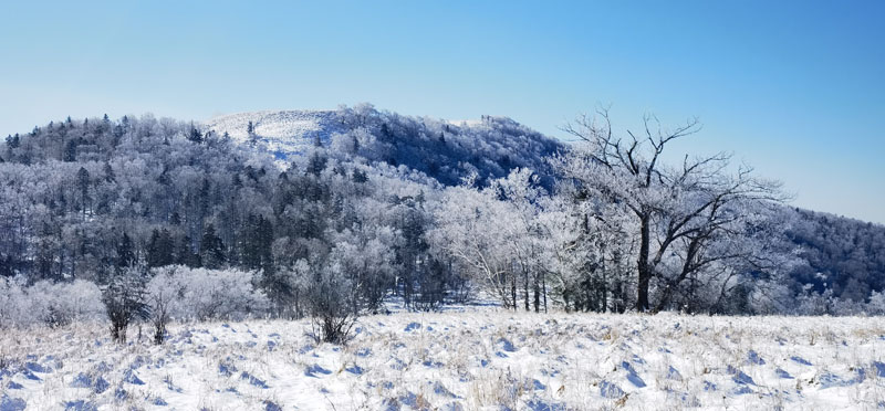 黑龙江亚雪公路迎入秋最大降雪 冰雪画廊一步一景